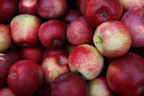 4669699729687957217897743142109642753189950n