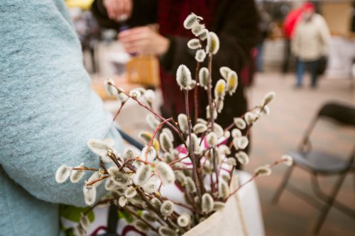 487805416242744322988236604957485099611217508n