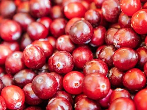 494052516244580243304644554443584053813126523n